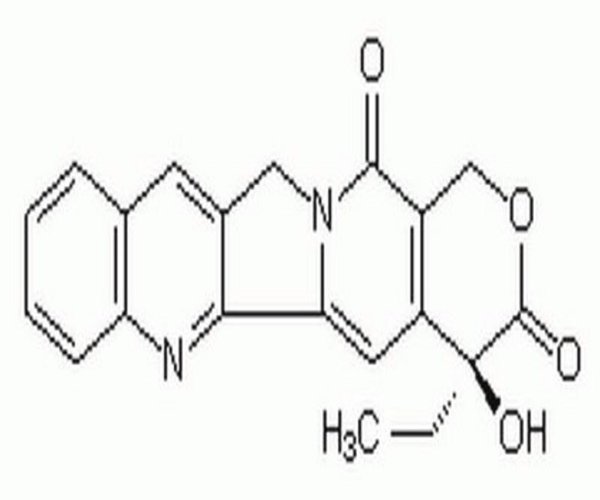 Camptothecin, Camptotheca ac 1PC X 50MG pack 1X50MG