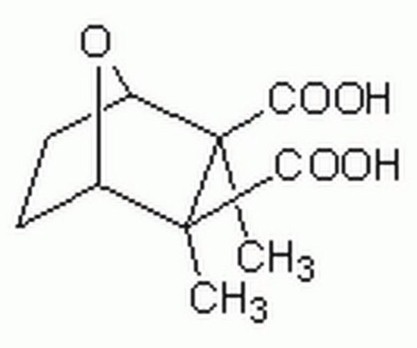 CANTHARIDIC ACID - CAS 28874-45-5 - CAL& pack 1X10MG