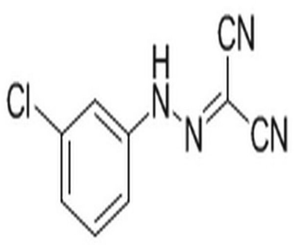 Carbonyl Cyanide m-Chlorophe 1PC X 250MG pack 1X250MG