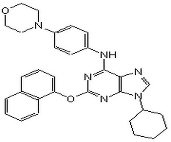 Purmorphamine 1PC X 5MG pack 1X5MG