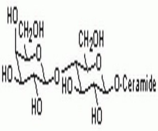 LACTOSYL CERAMIDE, BOVINE 1PC X 1MG pack 1X1MG