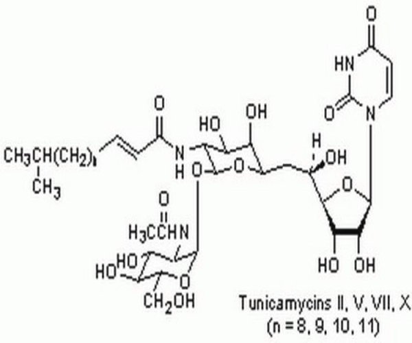 TUNICAMYCIN, STREPTOMYCES LY 1PC X 10MG pack 1X10MG