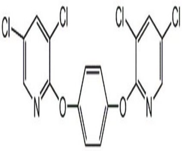 TCPOBOP 1PC X 25MG pack 1X25MG
