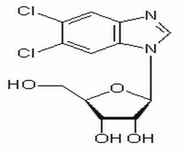 5,6-Dichloro-1-#-D-ribofuran 1PC X 50MG pack 1X50MG