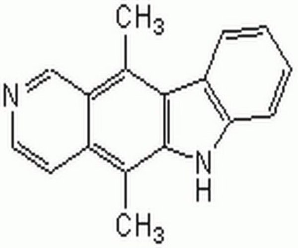 Ellipticine 1PC X 10MG pack 1X10MG