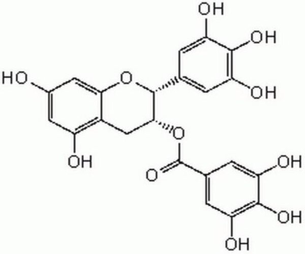(#)-Epigallocatechin Gallate 1PC X 10MG pack 1X10MG