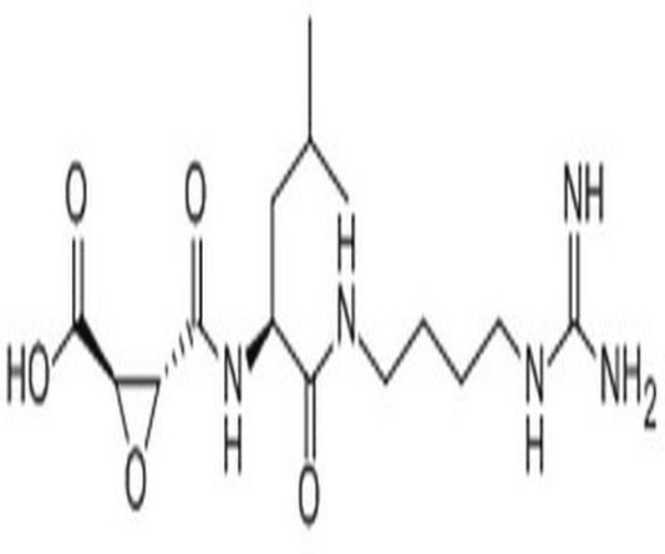E-64 PROTEASE INHIBITOR 1PC X 5MG pack 1X5MG