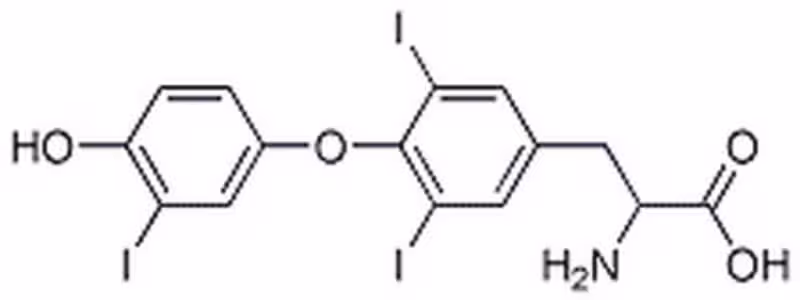L-3,3#,5-Triiodothyronine, F 1PC X 10MG pack 1X10MG