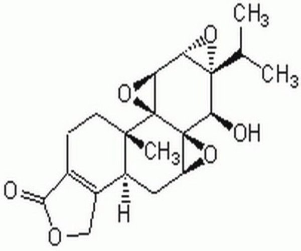 TRIPTOLIDE, TRIPTERYGIUM WIL 1PC X 1MG pack 1X1MG