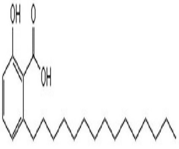 Anacardic Acid 1PC X 10MG pack 1X10MG