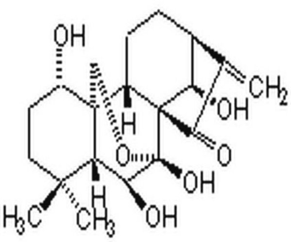 Oridonin, R. rubescens 1PC X 5MG pack 1X5MG