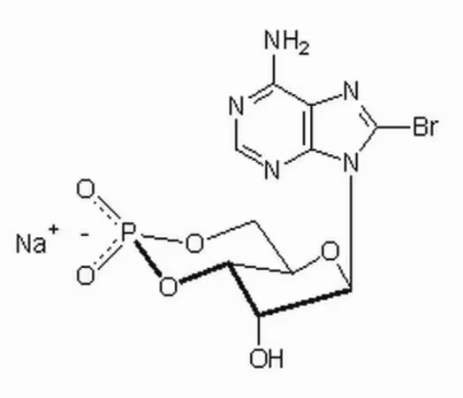 Adenosine 3#,5#-cyclic Monop 1PC X 10MG pack 1X10MG