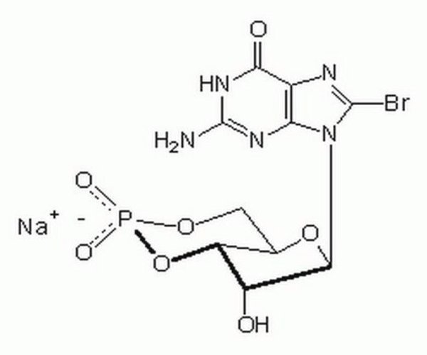 GUANOSINE 3#,5#-CYCLIC MONOP 1PC X 25MG pack 1X25MG