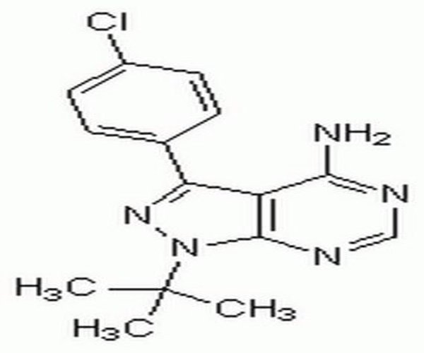 PP2 1PC X 1MG pack 1X1MG