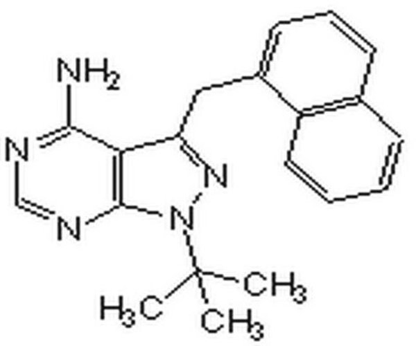 PP1 Analog II, 1NM-PP1 1PC X 1MG pack 1X1MG