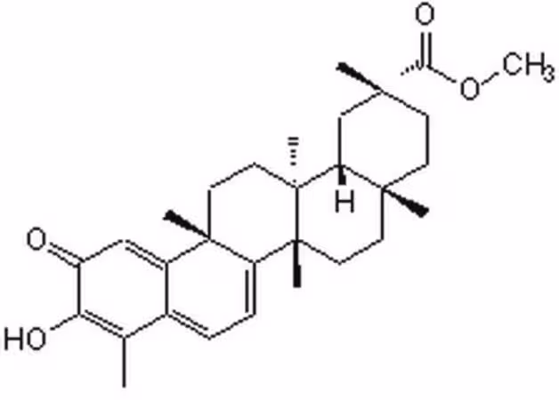 Pristimerin 1PC X 5MG pack 1X5MG