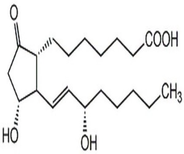 Prostaglandin E1 1PC X 1MG pack 1X1MG