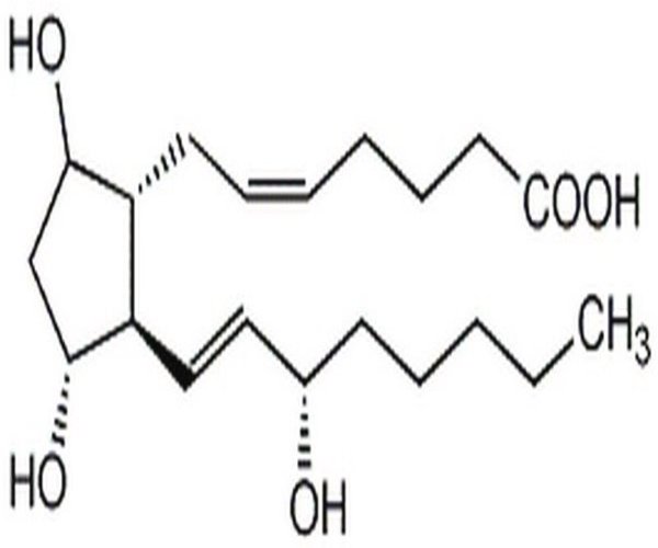 Prostaglandin F2# 1PC X 1MG pack 1X1MG