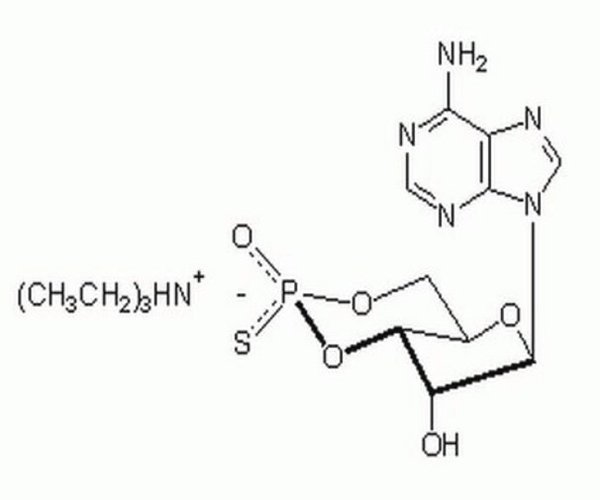 ADENOSINE 3#,5#-CYCLIC MONOP 1PC X 5UMOL pack 1X5UMOL