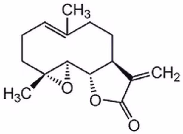 Parthenolide, Tanacetum part 1PC X 50MG pack 1X50MG