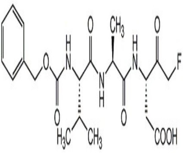 Caspase Inhibitor VI 1PC X 250UG pack 1X250UG