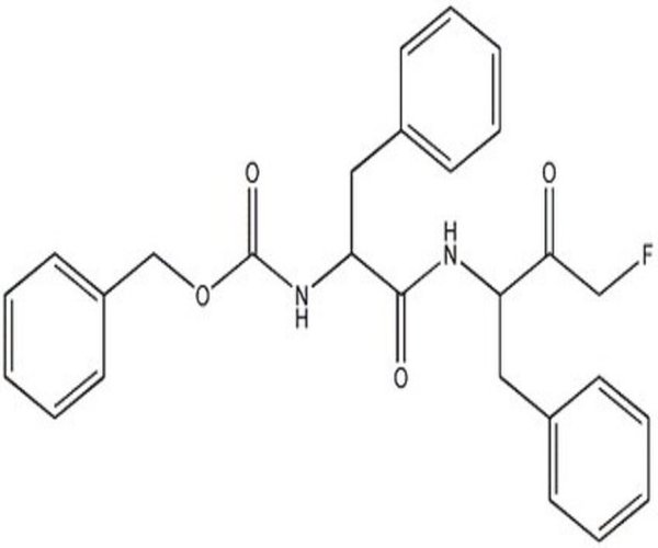 CATHEPSIN L INHIBITOR I 1PC X 1MG pack 1X1MG