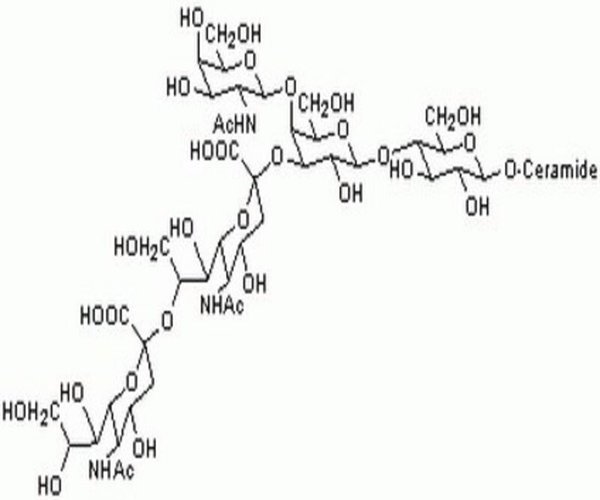 GANGLIOSIDE GD2, DISIALO, HU 1PC X 500UG pack 1X500UG
