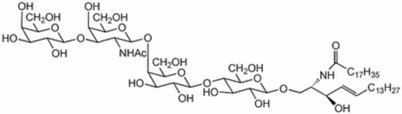 GANGLIOSIDE GM1, ASIALO, HUM 1PC X 1MG pack 1X1MG
