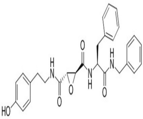 CATHEPSIN L INHIBITOR, CAA02 1PC X 1MG pack 1X1MG