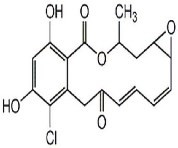 Radicicol, Diheterospora chl 1PC X 500UG pack 1X500UG