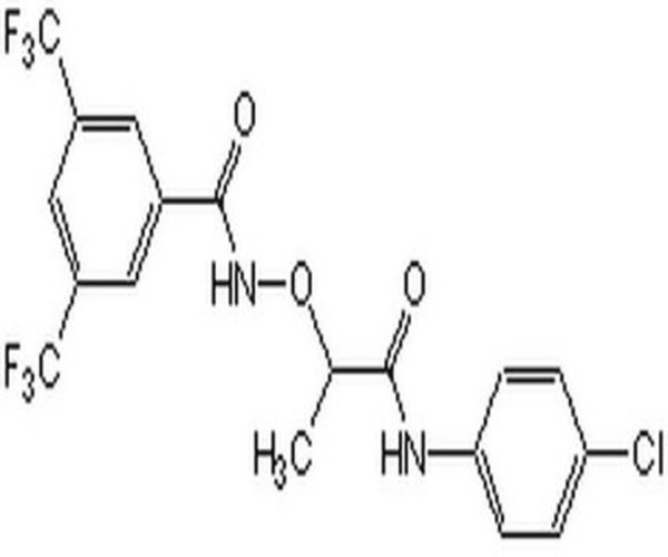 Rho/SRF Pathway Inhibitor, C 1PC X 25MG pack 1X25MG
