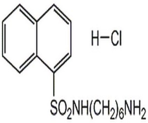 W-5, Hydrochloride 1PC X 1MG pack 1X1MG