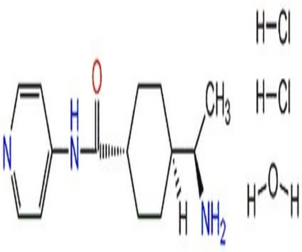 Y-27632 - CAS 146986-50-7 - CALBIOCHEM pack 1X10MG
