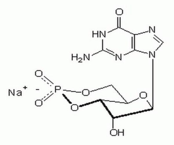 GUANOSINE 3#,5#-CYCLIC MONOP 1PC X 50MG pack 1X50MG