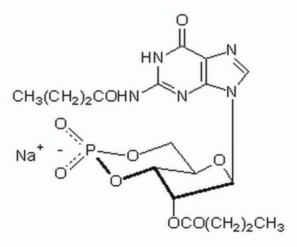 Guanosine 3#,5#-cyclic Monop 1PC X 10MG pack 1X10MG
