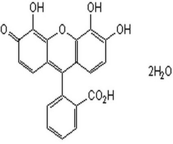 G## Modulator II, Gallein 1PC X 5MG pack 1X5MG