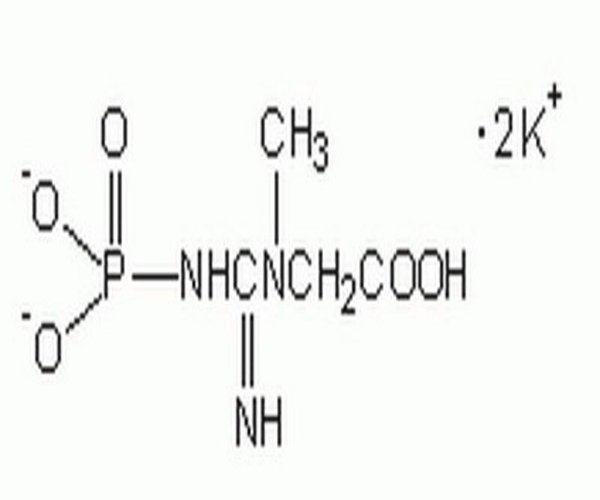 Creatine Phosphate, Dipotass 1PC X 1GM pack 1X1GM