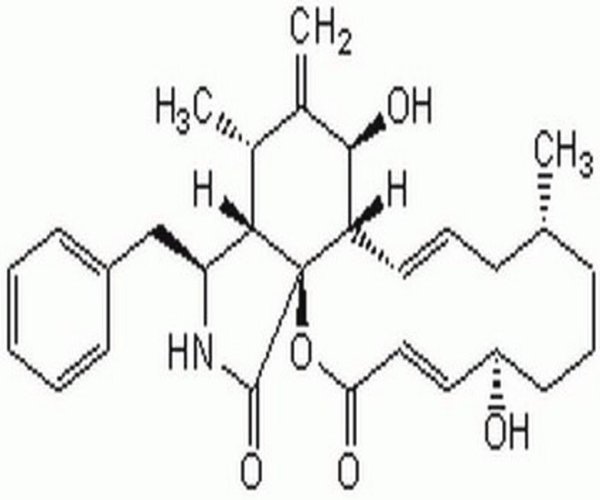 Cytochalasin B, Helminthospo 1PC X 5MG pack 1X5MG