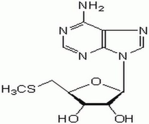 5#-Deoxy-5#-methylthioadenos 1PC X 50MG pack 1X50MG