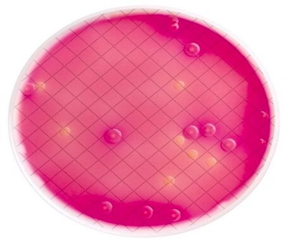MILLIFLEX AGAR CASSETTE (MAC CONKEY) pack 1X1EA