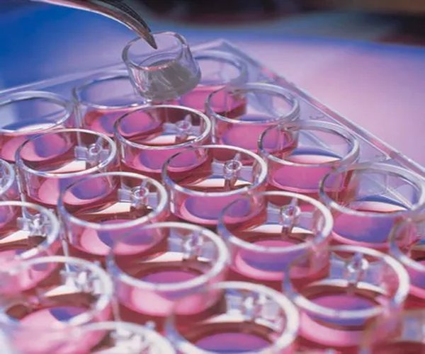 Milli Stand Insrt .4um Organotypic 50/pk pack 1X1EA