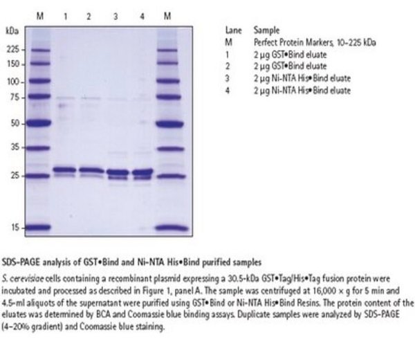 YeastBuster# Protein Extraction Reagent pack 1X1EA