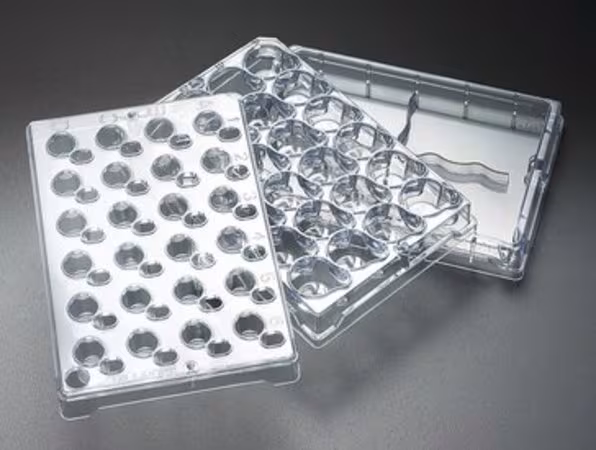 Milli-24  Culture Plate PCF 0.4um 5/pk pack 1X1EA