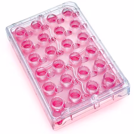Milli-24  Culture Plate PET 1.0um 5/pk pack 1X1EA