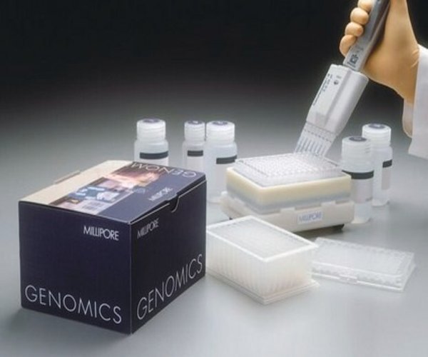 Plasmid Miniprep 4 pack Kit pack 1X1EA