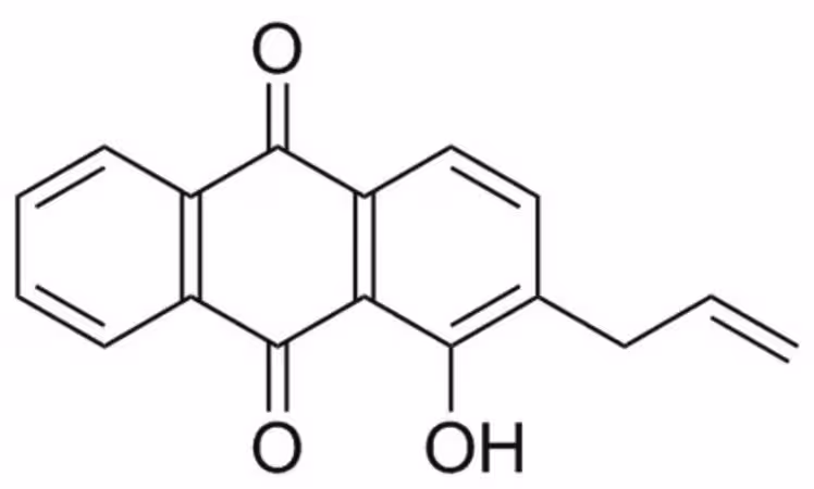 GDH1 Inhibitor, R162 1PC X 25MG pack 1X1EA