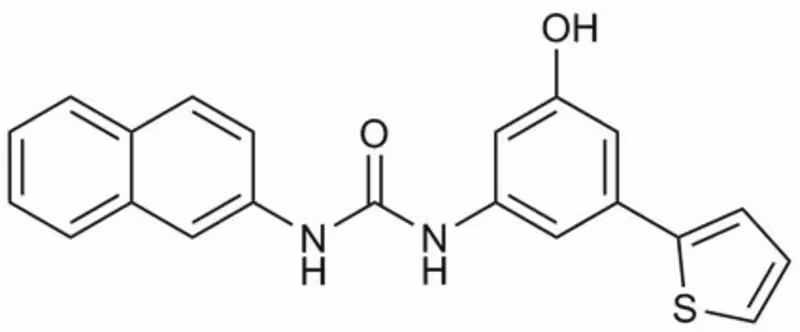 Wnt-#-Catenin Signaling Inhi 1PC X 10MG pack 1X1EA