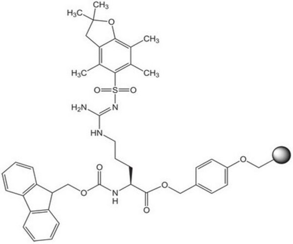 FMOC-ARG(PBF)-WANG RESIN (100-200 MESH) pack 1X1EA