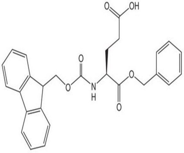 FMOC-GLU-OBZL 5 G pack 1X1EA