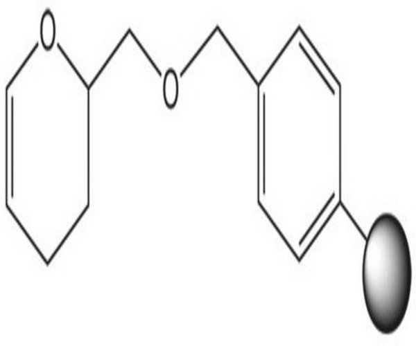 DHP HM RESIN (100-200 MESH) 5 G pack 1X1EA